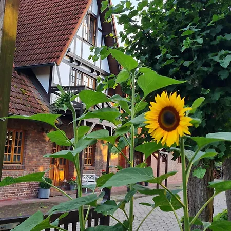 Lägenhet 4 Zimmer Kamin, Terrasse Landhaus Wohnung *