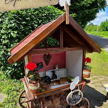 4 Kamin, Terrasse